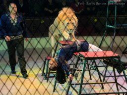 Családi hétvége a Fővárosi Nagycirkuszban